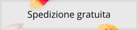 Spedizione Gratuita