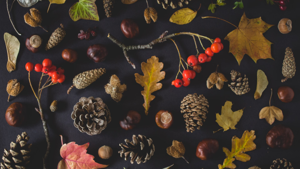Benvenuto da noi, autunno!